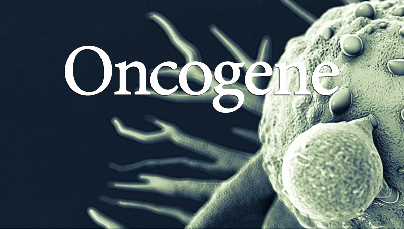 中國科學院上海營養與健康研究院科研人員發現hnRNPK調控的MRPL33剪接在結腸癌中的重要功能