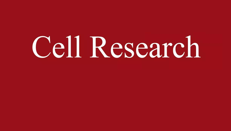 上海生科院(人口健康領域)科研人員合作開發一種增強型基因組堿基編輯器