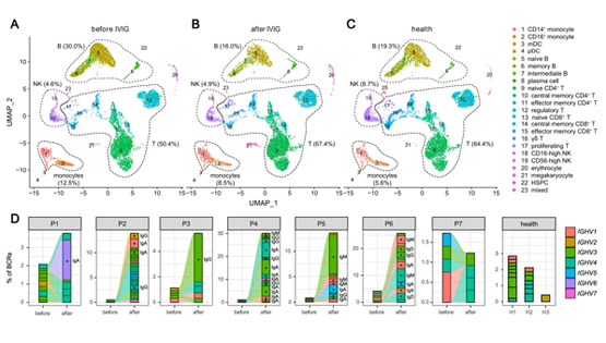 營養與健康所王振、李亦學研究組合作發表川崎病單細胞免疫圖譜最新研究成果