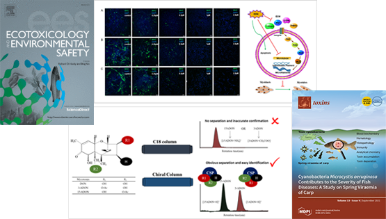 營養與健康所武愛波研究組在嘔吐毒素DON致肌肉細胞損傷及主要衍生型精準檢測方面取得研究進展