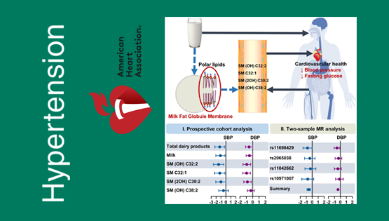 營養與健康所林旭、宗耕研究組在奶制品的脂質組生物標記物與心血管疾病風險因素研究方面取得進展