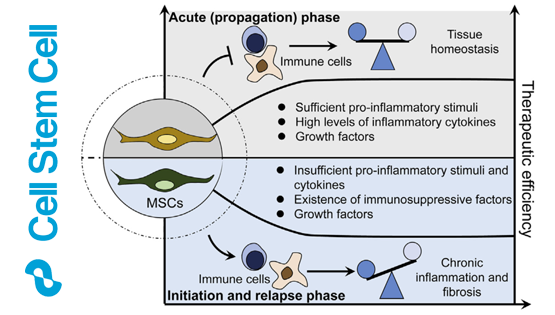 營養(yǎng)與健康所王瑩研究員合作撰寫《間充質(zhì)干細胞與免疫反應(yīng)互作》的特邀綜述