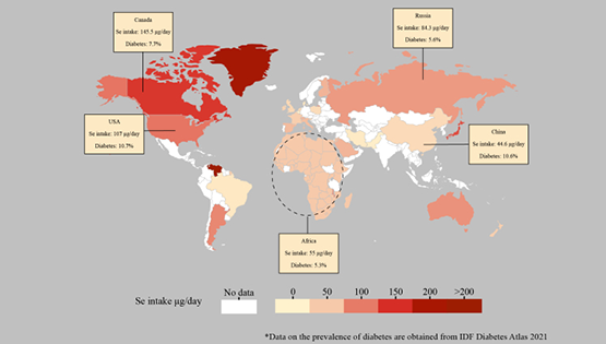 中國科學院營養工程實驗室發表硒與2型糖尿病綜述文章